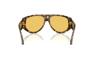 Rear view Dolce & Gabbana DG4499 (333085)