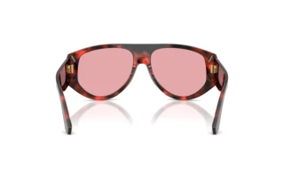 Rear view Dolce & Gabbana DG4499 (335884)