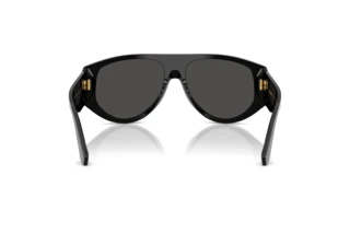Rear view Dolce & Gabbana DG4499 (501/87)