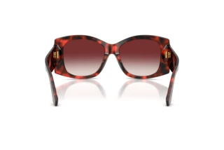 Rear view Dolce & Gabbana DG4501 (33588H)