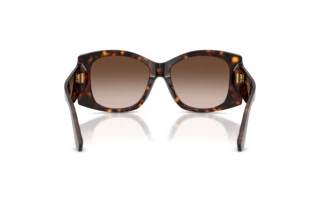 Rear view Dolce & Gabbana DG4501 (502/13)