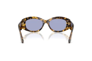 Rear view Dolce & Gabbana DG4502 (33301A)