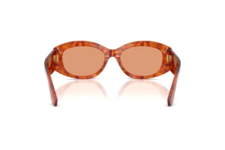 Rear view Dolce & Gabbana DG4502 (3452/7)
