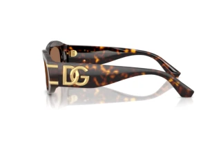 Side view Dolce & Gabbana DG4502 (502/73)