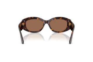 Rear view Dolce & Gabbana DG4502 (502/73)