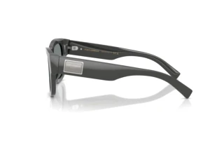 Side view Dolce & Gabbana DG4509 (3090/1)