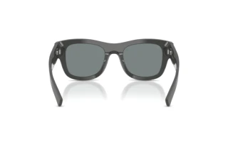 Rear view Dolce & Gabbana DG4509 (3090/1)