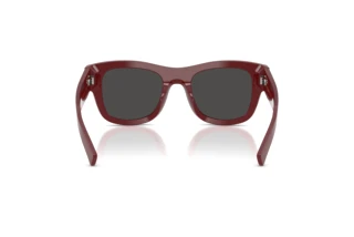 Rear view Dolce & Gabbana DG4509 (309187)