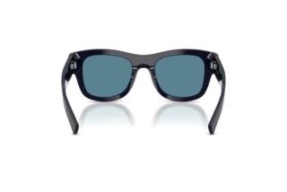 Rear view Dolce & Gabbana DG4509 (309480)