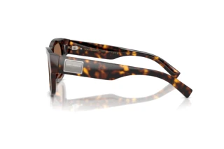 Side view Dolce & Gabbana DG4509 (502/73)