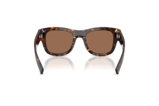 Rear view Dolce & Gabbana DG4509 (502/73)