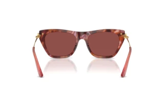Rear view Dolce & Gabbana DG4511 (344475)