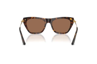 Rear view Dolce & Gabbana DG4511 (502/73)