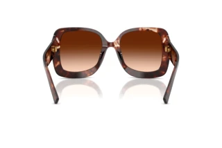 Rear view Dolce & Gabbana DG4513 (322274)