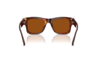 Rear view Dolce & Gabbana DG4515 (345673)