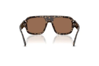 Rear view Dolce & Gabbana DG4516 (341773)