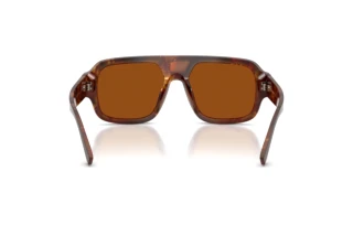 Rear view Dolce & Gabbana DG4516 (345673)