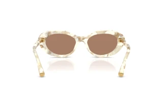 Rear view Dolce & Gabbana DG4519 (346173)