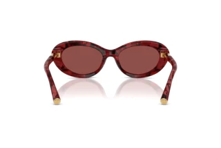Rear view Dolce & Gabbana DG4519 (346375)