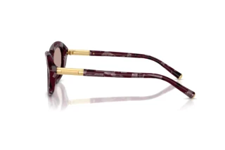 Side view Dolce & Gabbana DG4519 (34647N)