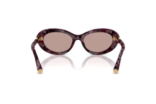 Rear view Dolce & Gabbana DG4519 (34647N)