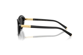 Side view Dolce & Gabbana DG4519 (501/87)
