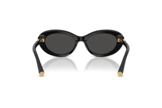 Rear view Dolce & Gabbana DG4519 (501/87)