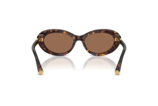 Rear view Dolce & Gabbana DG4519 (502/73)