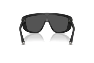 Rear view Dolce & Gabbana DG4520 (25256G)