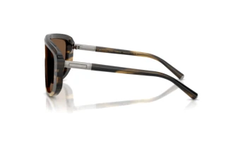 Side view Dolce & Gabbana DG4520 (306373)