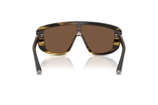 Rear view Dolce & Gabbana DG4520 (306373)