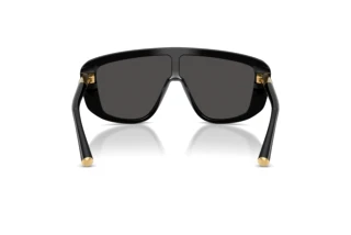 Rear view Dolce & Gabbana DG4520 (501/87)