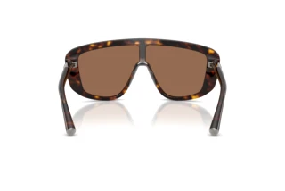 Rear view Dolce & Gabbana DG4520 (502/73)
