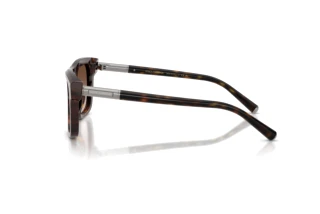 Side view Dolce & Gabbana DG4521 (502/13)