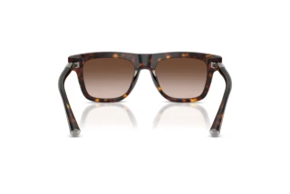 Rear view Dolce & Gabbana DG4521 (502/13)