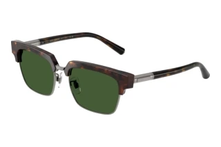 Front view Dolce & Gabbana DG4522 (502/71)