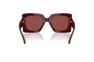 Rear view Dolce & Gabbana DG4525B (309175)