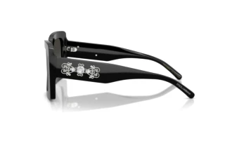 Side view Dolce & Gabbana DG4525B (501/88)