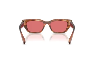 Rear view Dolce & Gabbana DG4532 (322175)
