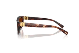 Side view Dolce & Gabbana DG4532 (322274)
