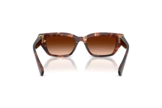 Rear view Dolce & Gabbana DG4532 (322274)