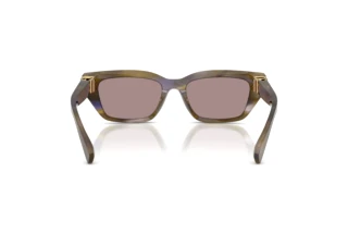 Rear view Dolce & Gabbana DG4532 (3447LA)