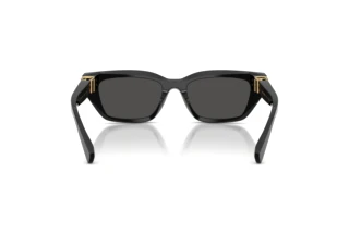 Rear view Dolce & Gabbana DG4532 (501/87)