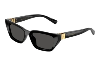Front view Dolce & Gabbana DG4532 (501/87)