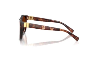 Side view Dolce & Gabbana DG4533 (322274)
