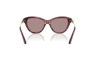 Rear view Dolce & Gabbana DG4534 (3474LA)