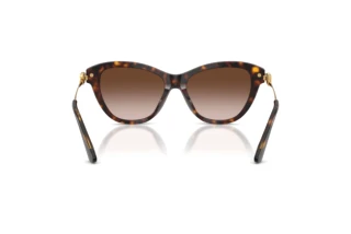 Rear view Dolce & Gabbana DG4534 (502/13)