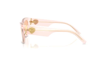 Side view Dolce & Gabbana DG4536 (304173)