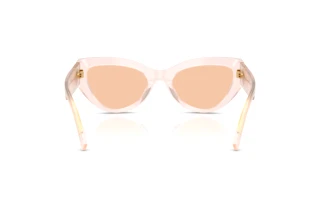 Rear view Dolce & Gabbana DG4536 (304173)