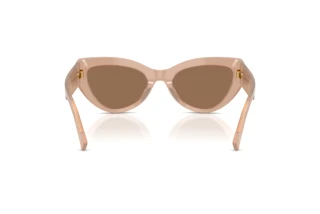 Rear view Dolce & Gabbana DG4536 (304273)